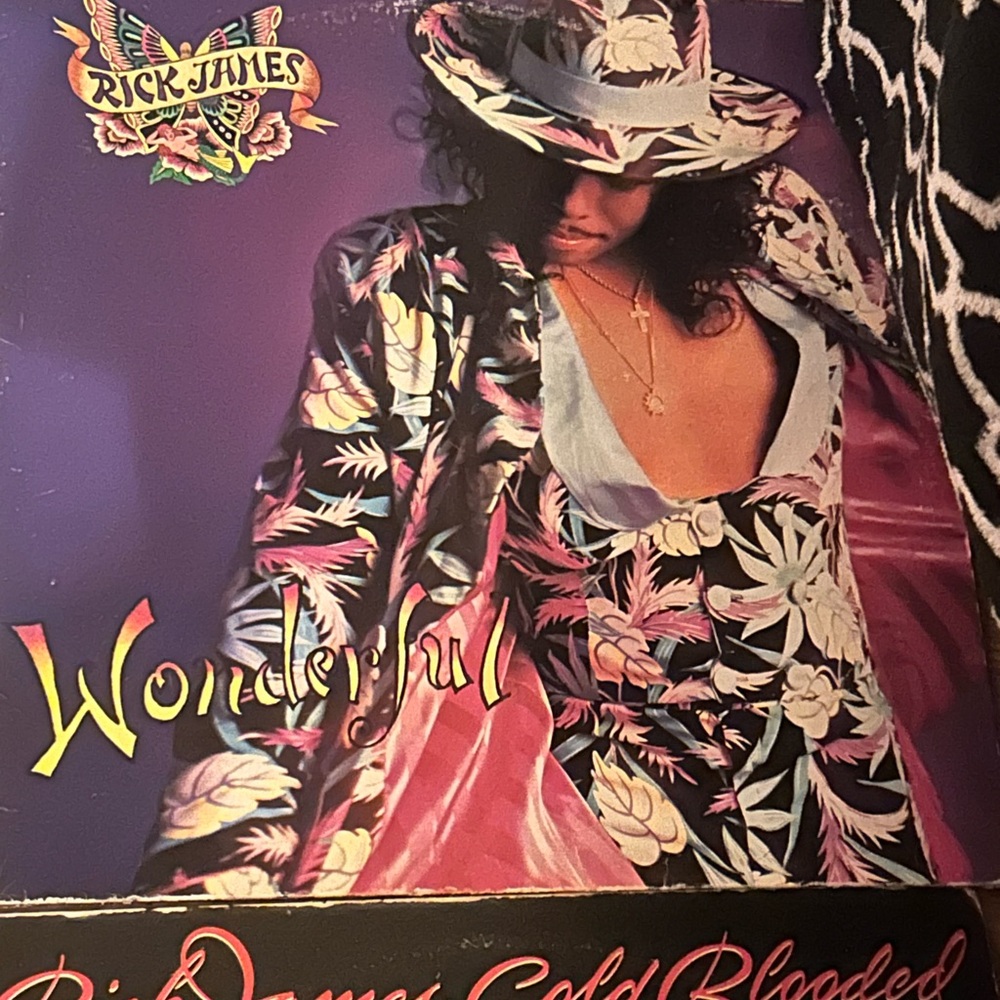 Classic Vinyl Record Collection - Picture 7 of 8
